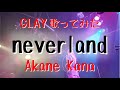 【女性が歌う】GLAY / neverland covered by 赤音 叶