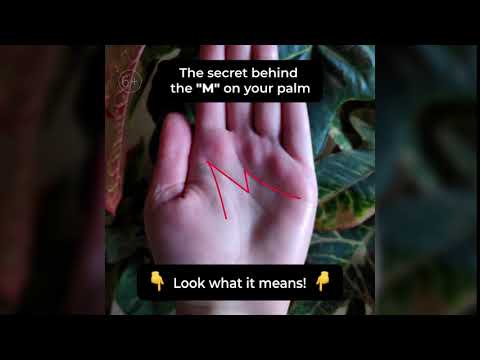 20 05 043 F EN 16x9 8s`