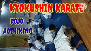 kyokushin karate, Punching and kicking technique