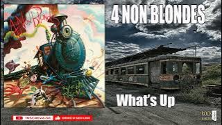 4 NON BLONDES -  WHAT'S UP  (HQ)