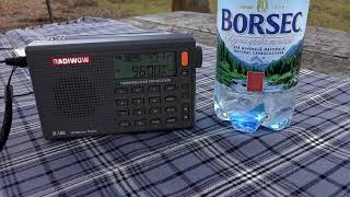 9600 kHz RRI on Radiwow R-108