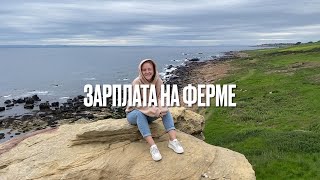 Работа на ферме Англии - Сколько можно заработать на самом деле?