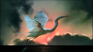 Enya - Water Shows the Hidden Heart