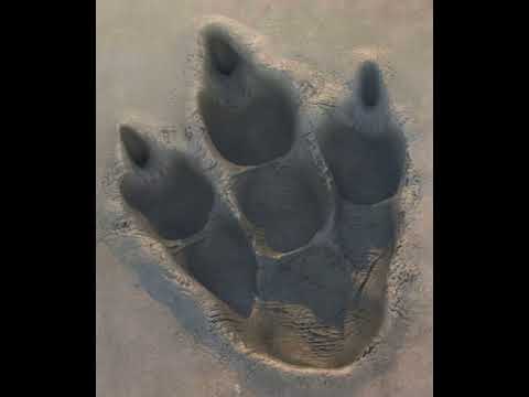 Godzilla Footsteps Sound Effects