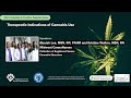 Therapeutic Indications of Cannabis Use
