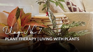 Silent Vlog No. 7: Plant Therapy | Living with Plants
