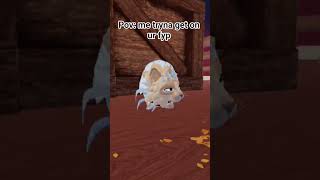 I HAVE BEEN FALLING... FOR 30 MINUTES!! #cats #wcue #meme #fyp