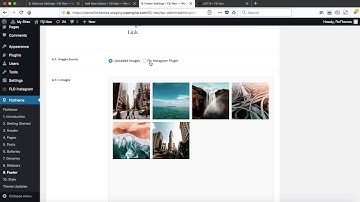 Flothemes :: Fiji 2 - General Footer Settings