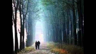 Maria Gadú - Quase Sem Querer