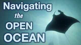 How Animals Navigate the Open Ocean