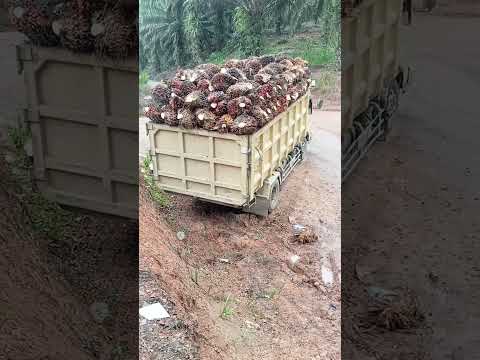 detik detik truck canter ps125 patah as roda bunyi parah