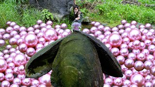 😱Giant clams discovered in the wilderness, girls harvest countless precious and charming pink pearls
