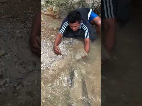 The discovery of