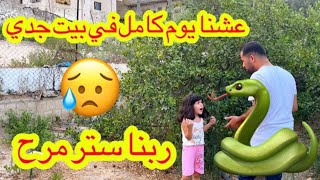 عشنا يوم كامل في بيت سيدي ? ثعبان هجم على مرح ?