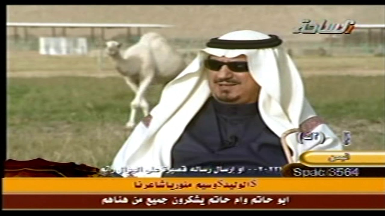 الشيخ / هيف بن عبود القحطاني ولقاء وأحتفالات بمناسبة فوزة بالنخبة بجميع ألوان الابل