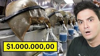 THE MOST EXPENSIVE LIQUIDS IN THE WORLD! [+10]