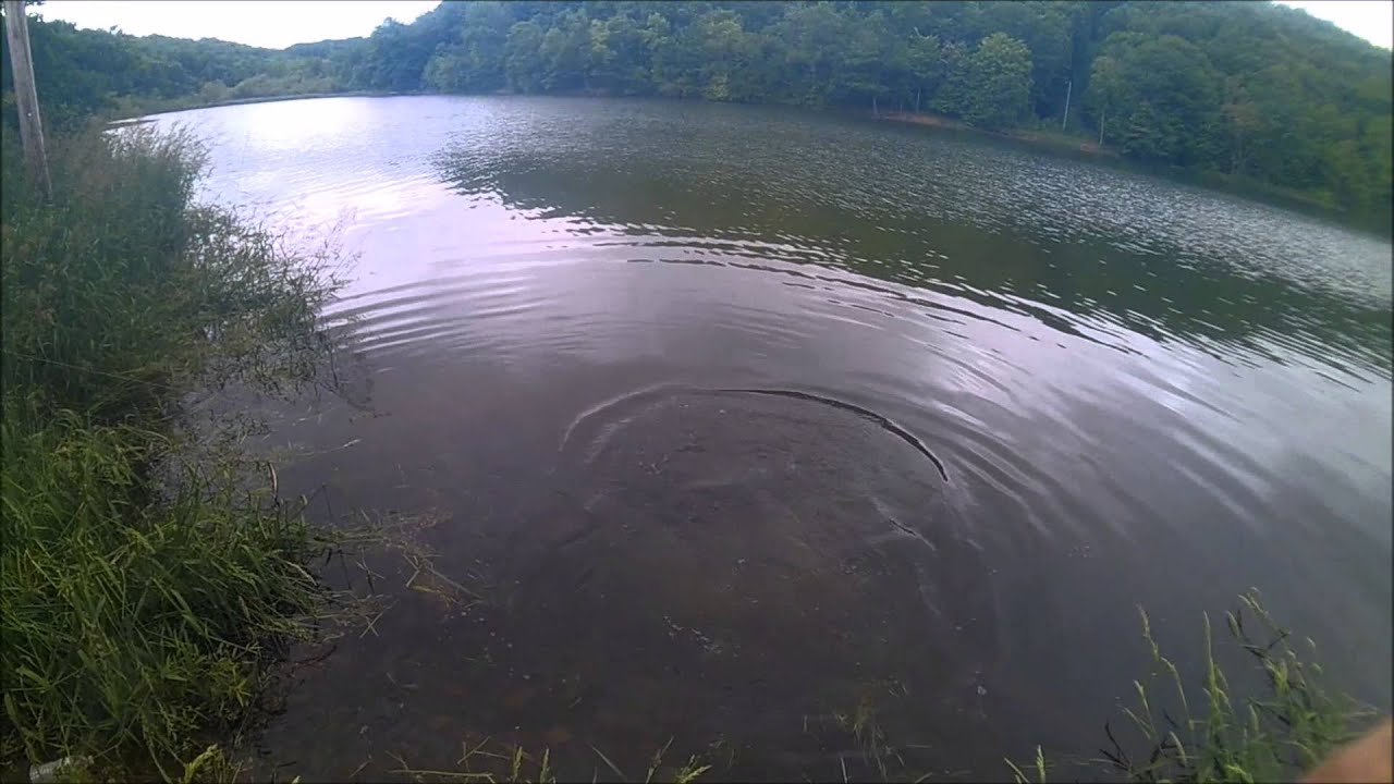Big Carp caught at Quemahoning Reservoir 1 YouTube