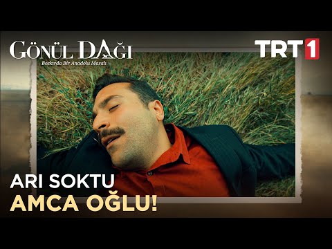 Ramazan'ı arı sokuyor! - Gönül Dağı \