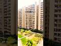 🏡 Tulip Violet Gurgaon | 3 BHK 1578 sq ft • Ready-to-Move, 5th Floor!
