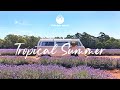 Tropical Summer - Best of Indie, Pop, Folk Playlist June 2021
