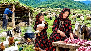 Construction Of Wooden Shelter For Sheep Baked Abgosht With Local Duck