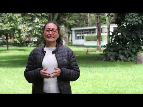 Vera Samudio- Investigadora