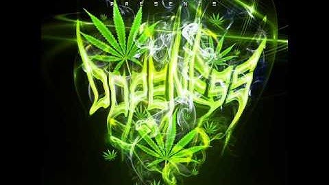 08   Selective Mood   Maine Frame