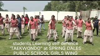 TAEKWONDO classes at SPRING DALES PUBLIC SCHOOL GIRLS WING. Meerut road, Mawana screenshot 5