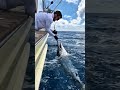 ANGLER COMES FACE TO FACE WITH A MASSIVE SEA MONSTER #Success #BigFish