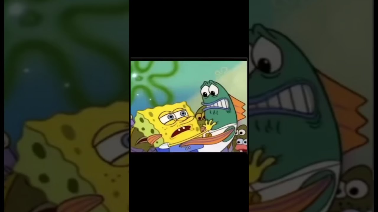 SDIYBT Compilation 