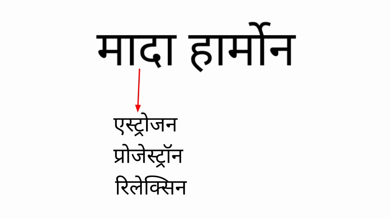 male and female hormones in hindi YouTube