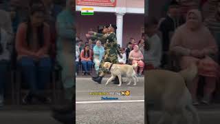 Four-legged sentinels of Border Security Force—loyal, fearless, and always guarding the nation 🐾#BSF
