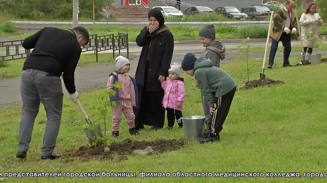 Липы возле новой девятиэтажки - в знак благодарности от серовских медиков