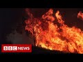 Australia fires: Climate change increases the risk of wildfires - BBC News