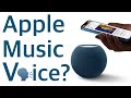 Apple Music Voice? - Don't Waste Your Money Mp3 Song
