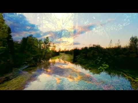 Bill Douglas - Forest Hymn - A Place Called Morning