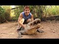 Alligator feeding wild charles with chris gillette