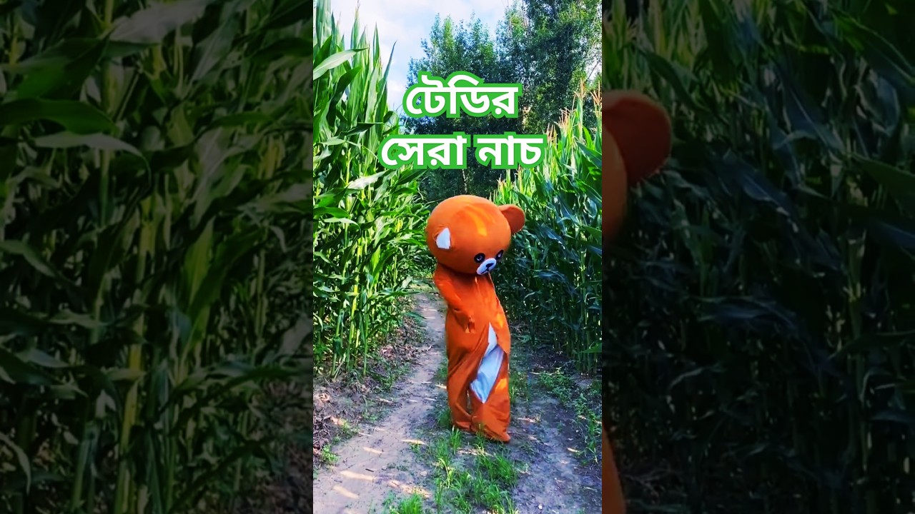Teddy Comedy video। টেডি ফানি ভিডিও 😂🤣 