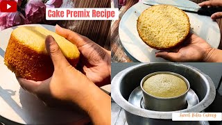 How To Use Cake Premix Powder | No Oil Sponge Cake | Cake Premix Recipe | Black Current Cake Recipe