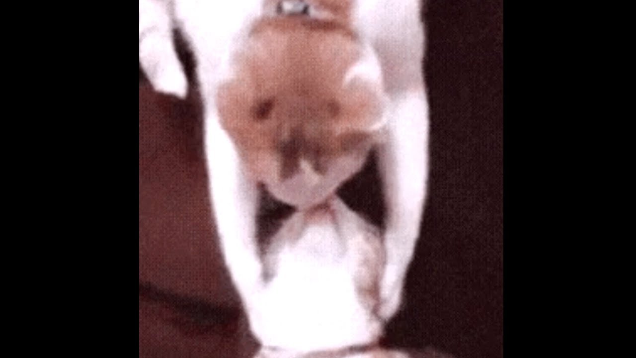 Eric David Wallace - Harmless (Official Music Video)