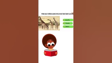 Đố Vui Tiếng Anh: Con Vật Gì Đây? | CÔ ĐỐ EM #quiz #funny #caudo #tienganhchotre