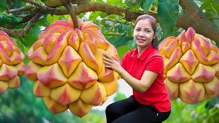 Harvesting Exotic Red Snake Pineapple in Wild Goes To Market Sell, Recipe cooking in village