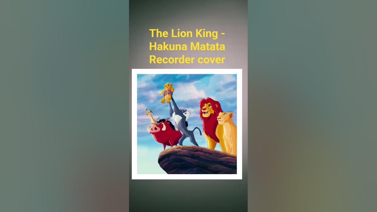 The lion king hakuna matata recorder cover