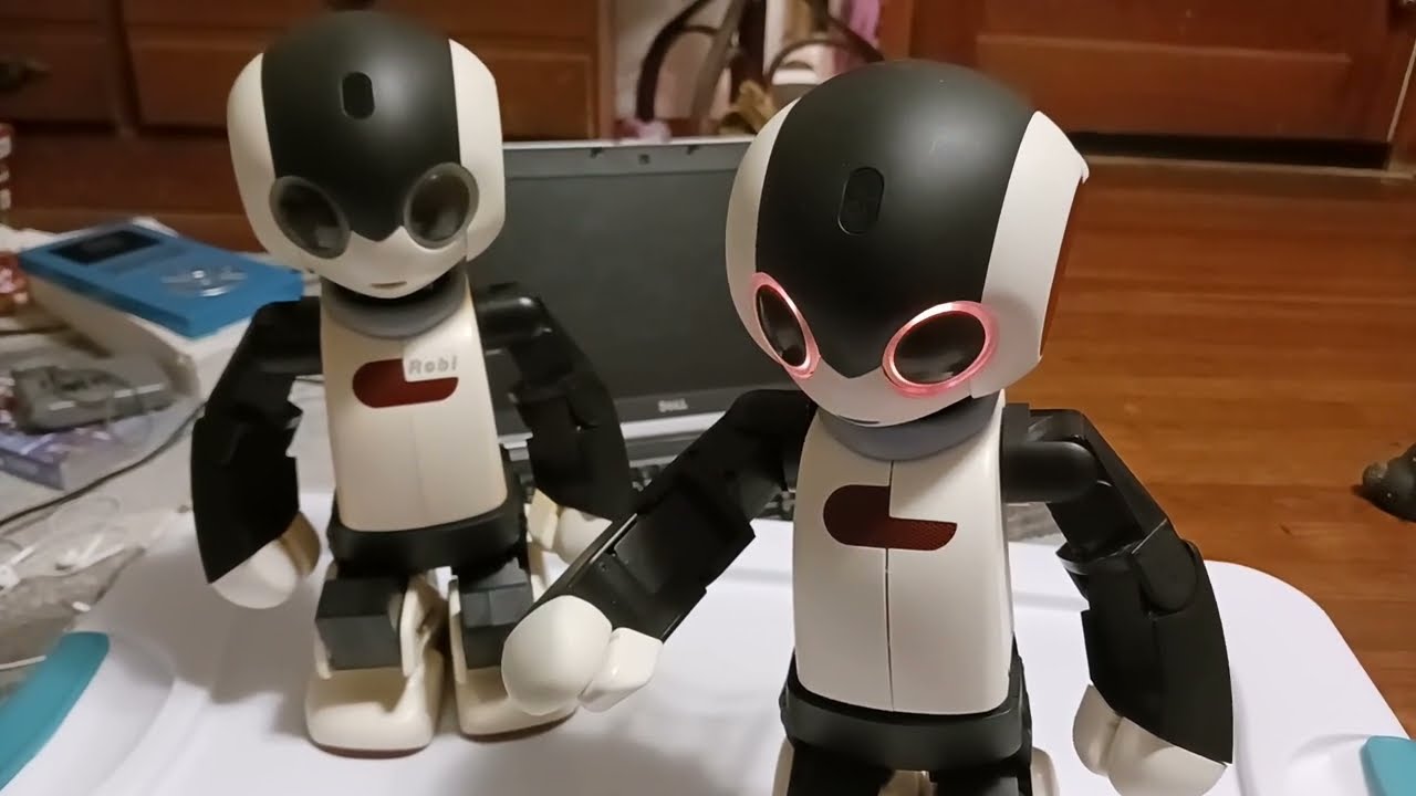 Testing Out Two Broken Japanese Robi Robots - YouTube