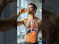 1 Glass Beer Peene Ke Baad Body Me Kya Hota Hai 😱 // #DaruKeNuksaan #HumanBody #MedicalFacts