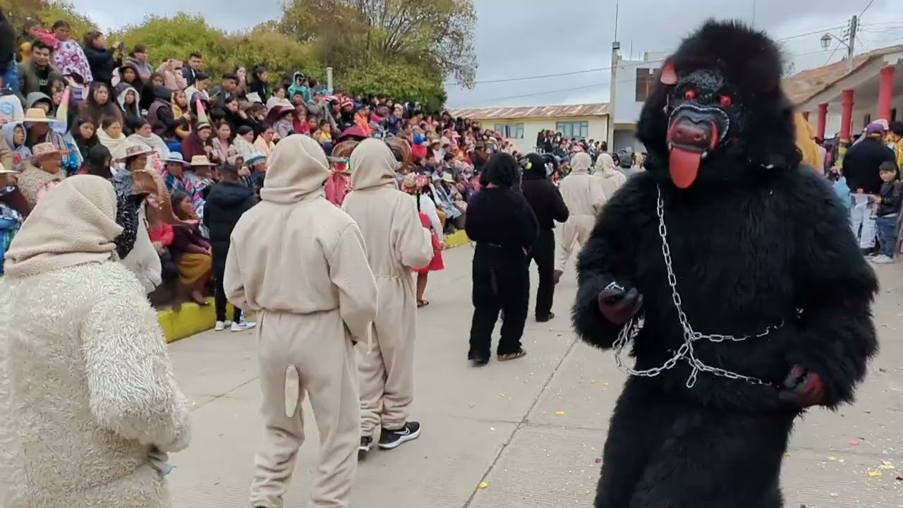 ovejitas colomi 2023 festividad virgen del rosario