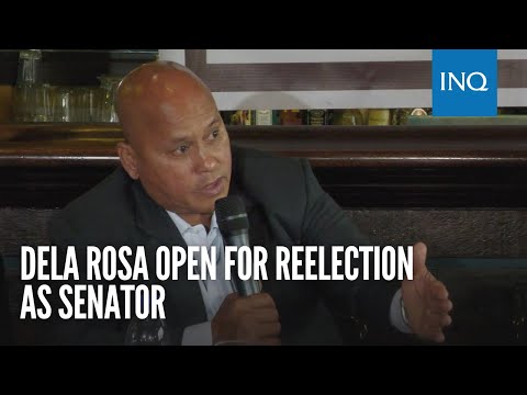 Dela Rosa open for reelection as senator