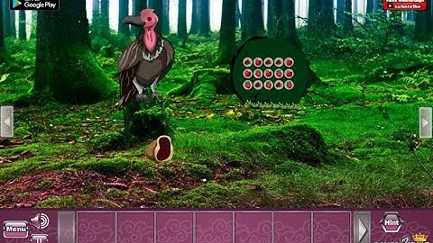 G2R Vulture Forest Escape Walkthrough [Games2Rule]