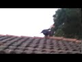 Story agusben2002