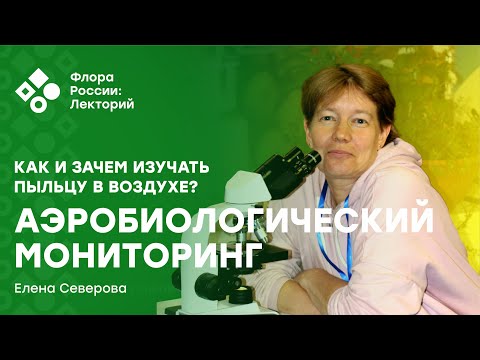Аэробиологический мониторинг: как и зачем изучать пыльцу в воздухе? (Елена Северова)